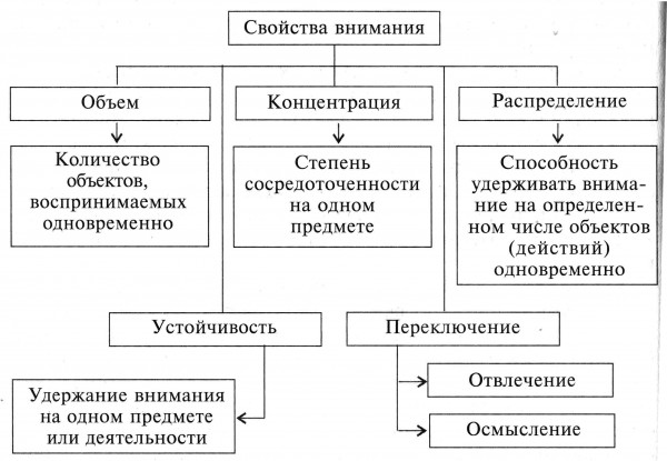 внимание виды и свойства обязательно